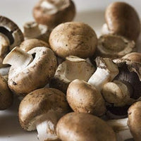 Mushroom Seeds for Planting, Light Brown, 100 pcs