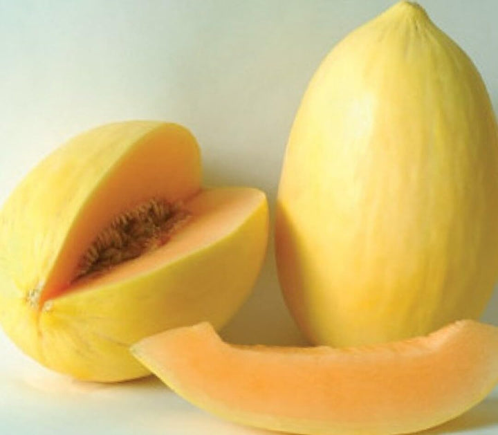 Crenshaw Melon Seeds, Grow Your Own Sweet, Juicy Melons 100 pcs