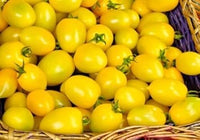 Yellow Tomato Seeds for Planting, 100 pcs