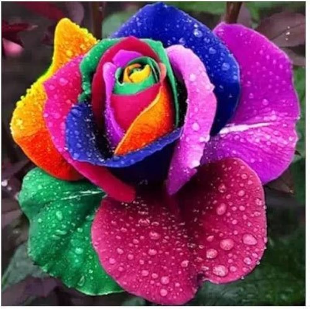 Semi - Gialli for planting in home garden