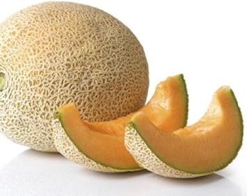 Yellow Cantaloupe Fruit Seeds for Gardening – 50 Seeds 100 pcs