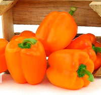 Orange Pepper Capsicum Annuum Vegetable Seeds for Planting in Home Garden and Patio Containers