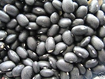 Black Coco Bean Seeds for Planting - 100 pcs