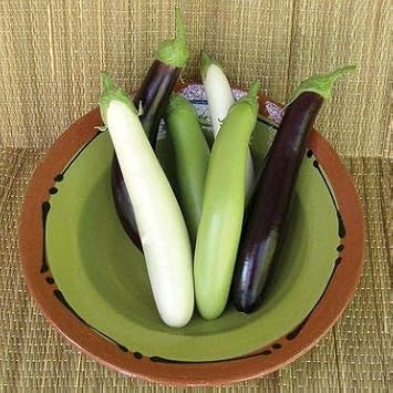 Mixed Eggplant Solanum melongena seeds for planting in home garden