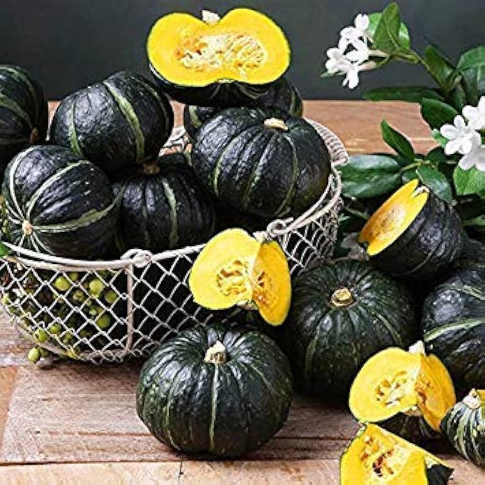 Japanese - Kikuza for planting in home garden