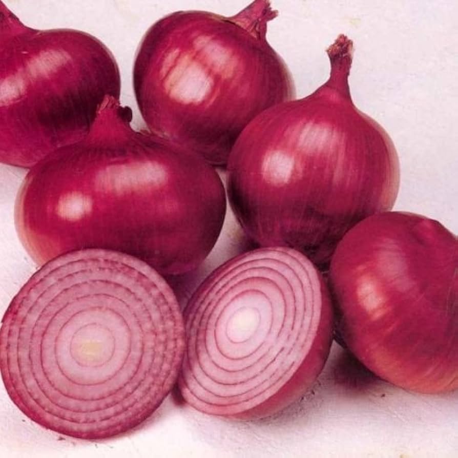 Onion Allium cepa Vegetable Seeds for Planting Red Wheat Variety in Kitchen Garden