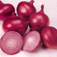 Onion Allium cepa Vegetable Seeds for Planting Red Wheat Variety in Kitchen Garden