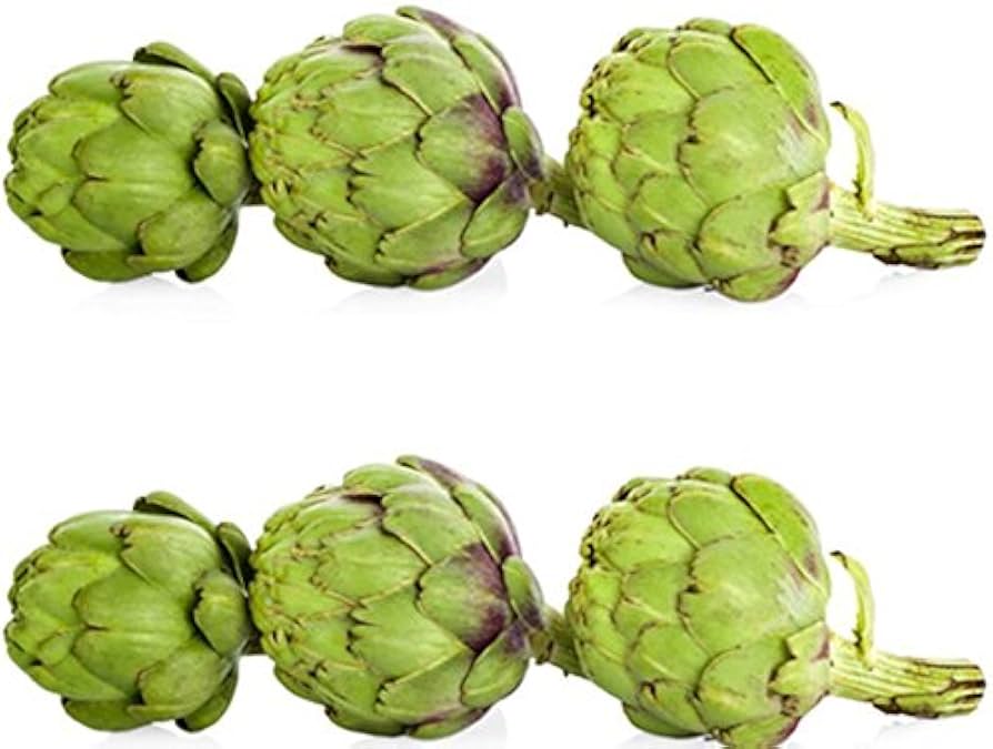 Artichoke Green Globe seeds for planting perennial vegetable garden crops