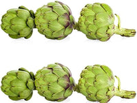 Artichoke Green Globe seeds for planting perennial vegetable garden crops