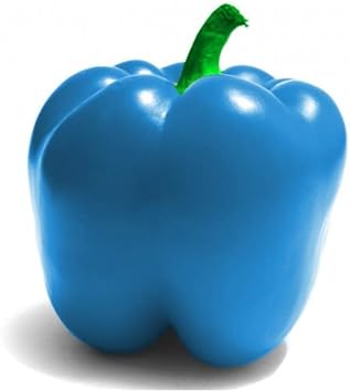 Sky Blue Chili Capsicum annuum seeds for garden planting