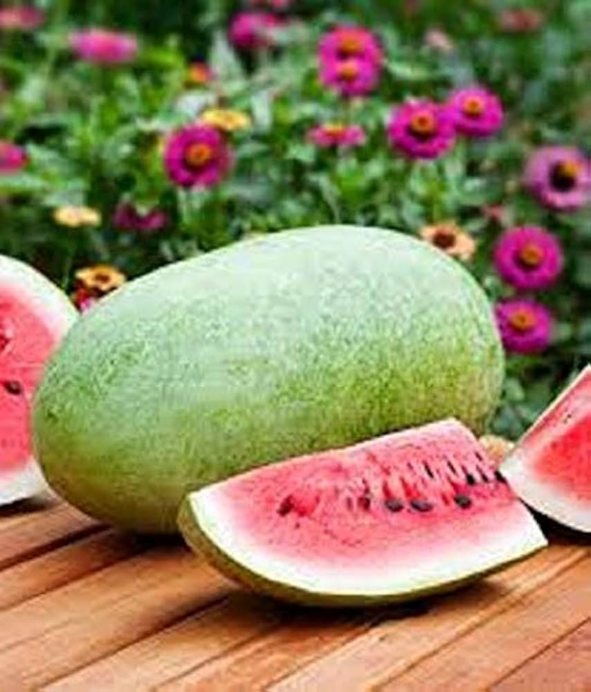 Charleston Gray watermelon seeds – classic striped heirloom with sweet flesh