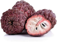 Chirimoya Roja Fruit Seed Set for Sweet, Unique Tropical Fruit 100 pcs