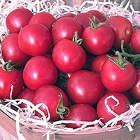Tomato Seeds for Planting Dark Pink - 100 pcs