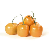 Orange Manzano Pepper Capsicum Pubescens Vegetable Seeds for Planting in Home Garden and Containers