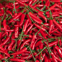 Ring of Fire Pepper - for planting in home garden