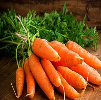 Orange Carrot Seeds for Planting - 100 pcs