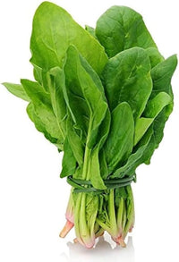 Spinach All Green Vegetable Seeds