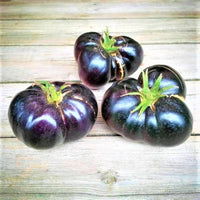 Brandywine (Black tomato) for planting in garden