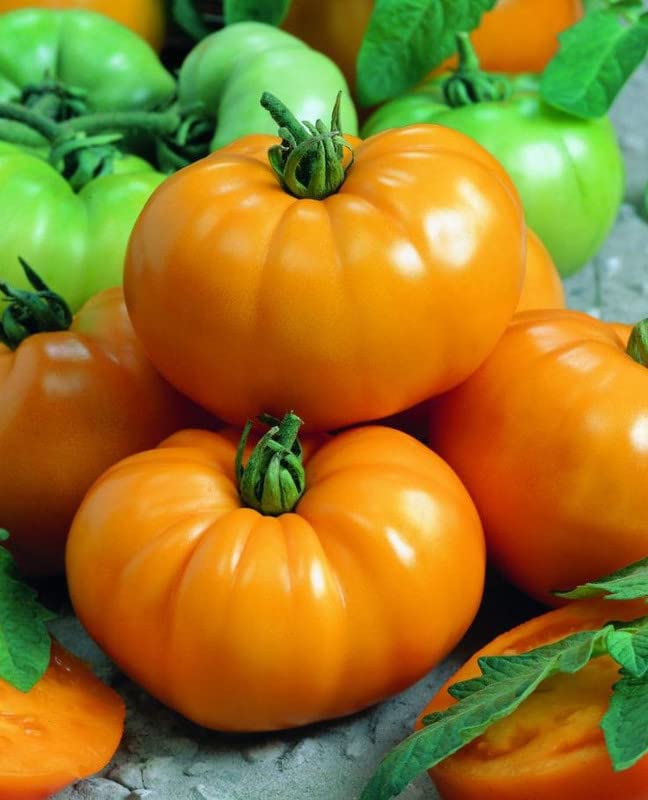 Chef’s Choice Orange – Tomato Seed