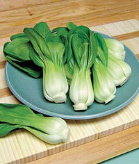 Black Summer – Bok Choy Seeds