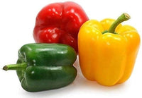 Sweet red pepper Capsicum annuum seeds for planting in organic vegetable gardens