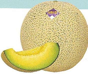 Yellow Ichiba Kouji Fruit Seeds - Exotic and Delicious for Your Garden 100 pcs