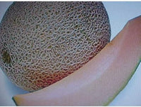 Brown Cantaloupe Melon Fruit Seeds for Planting - Growing Sweet, Aromatic Melons