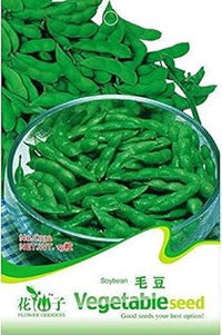Green Soybean Vegetable Seeds for Planting, heirloom & Non-GMO Seeds