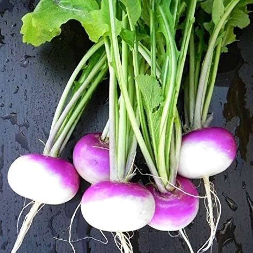 Slicemaster (Vegetable) for planting in garden