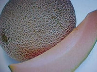 Brown cantaloupe Cucumis melo seeds for melon patch