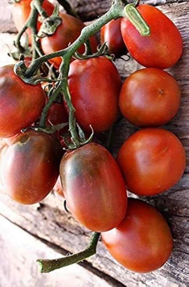 Black Plum tomato seeds – rich-flavored heirloom for roasting and drying