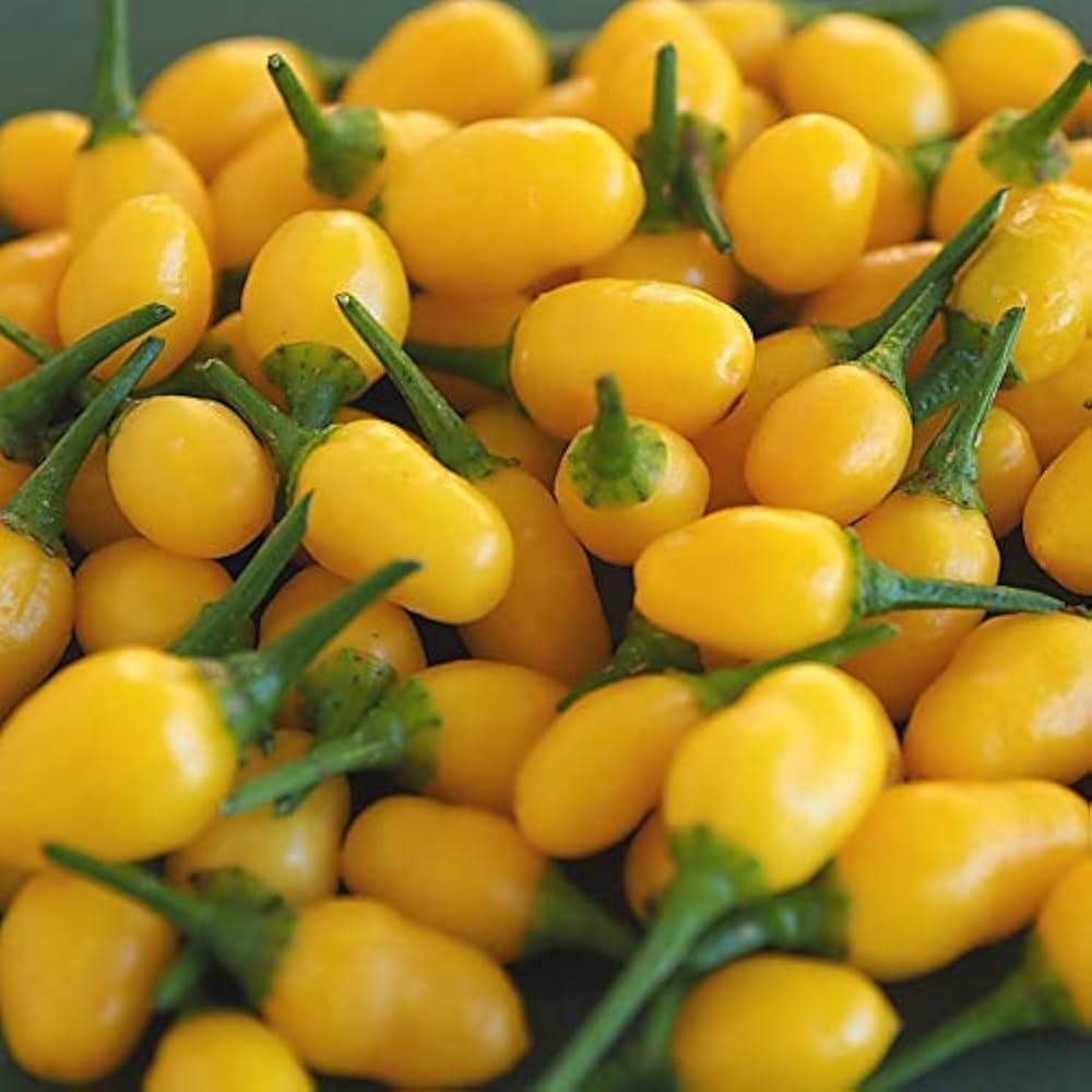 Yellow hot pepper Seeds line of organic vegetable Seeds