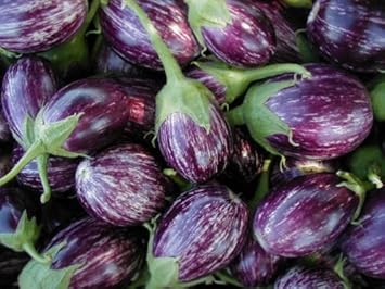 Purple Eggplant Seeds for Planting - 100 pcs