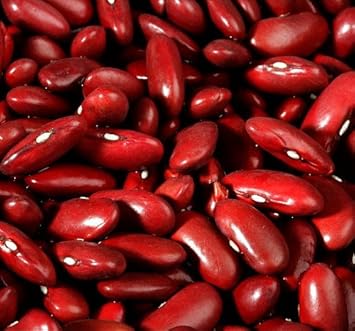 Dark Red Kidney Bean Phaseolus vulgaris seeds for garden planting
