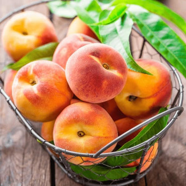 Nemaguard Peach Fruit Tree Seeds for Planting - Outdoor- Perennial Non GMO Fruit Seeds - Rare and Unique Fruits for Nature Lovers