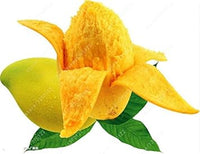 Yellow Mango Tree Seeds for Planting - Sweet, Tropical Mango Cultivation, Heirloom Seeds