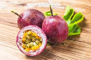 Passion Fruit Seeds for Planting - Dark Purple Variety for Backyard Gardens , Heirloom Seeds