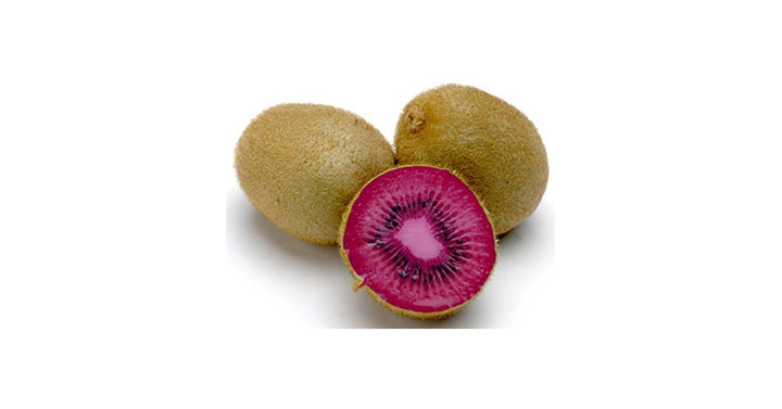 Pink Kiwi Fruit Seeds for Planting - Hardy, Self-Fertile Kiwi Vines, Heirloom & Non-GMO Seeds
