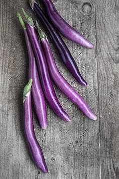 Aubergine Vegetable Seeds for Planting, heirloom & Non-GMO Seeds