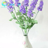 Organic Purple Hoary Stock Flower Seeds for Planting – Heirloom, Non-GMO