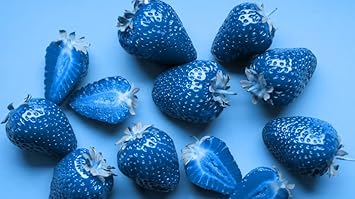 SkyBlue Strawberry Fruit Seeds for Planting - Growing Flavorful and Vibrant Berries, GMO free