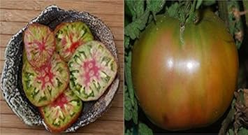 Green Tomato Seeds for Planting - 100 pcs