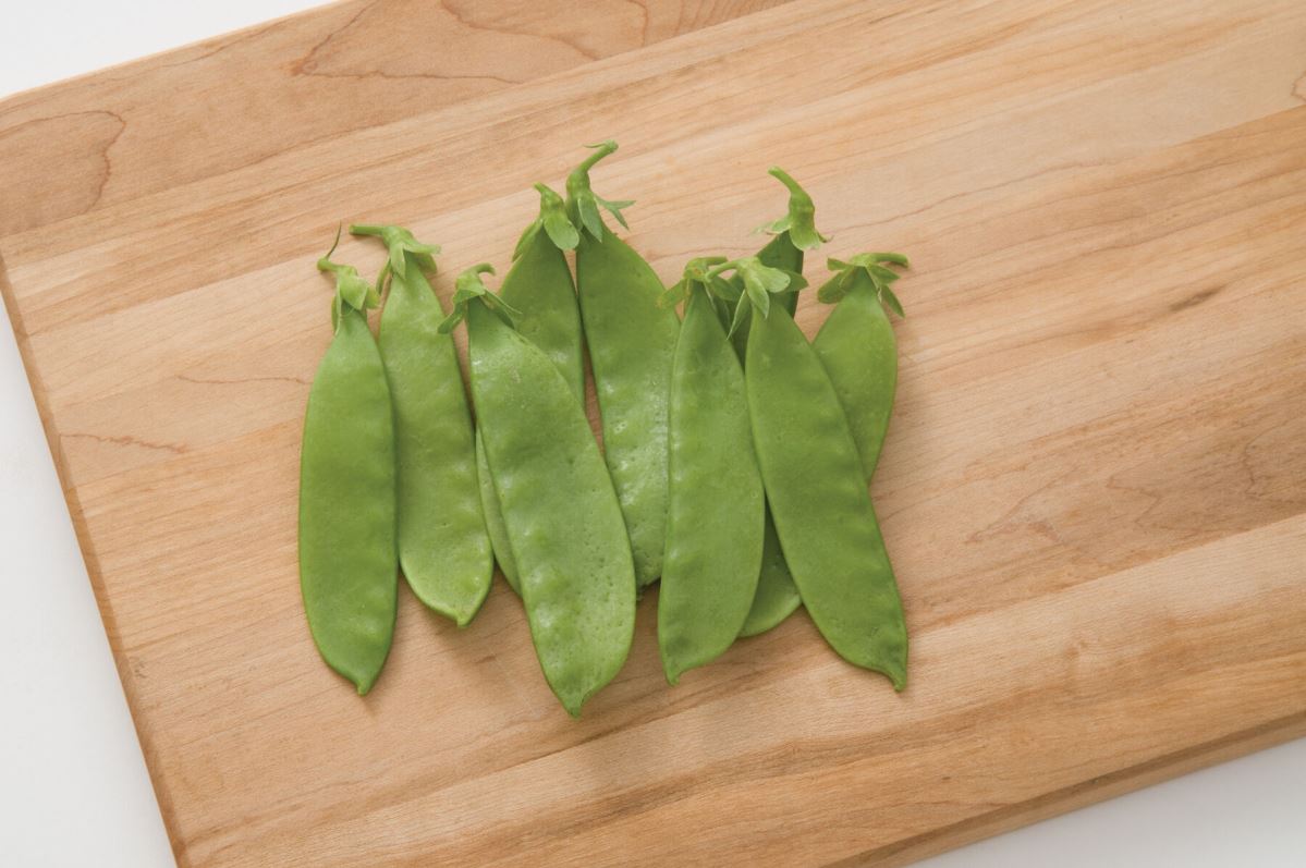 Oregon Giant – Pea Seed