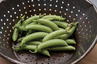 Sugar Snap – Organic Pea Seed