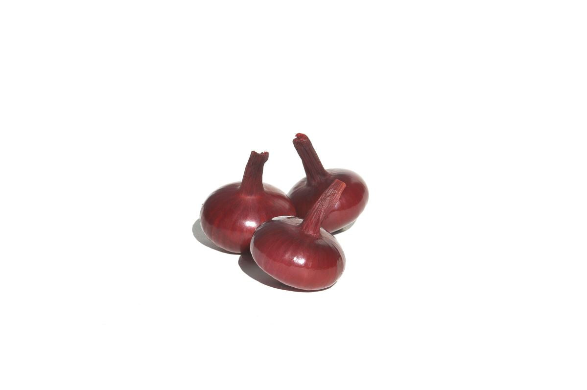 Red Marble – Onion Seed