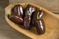 Sweet Chocolate – Organic Bell Pepper Seed