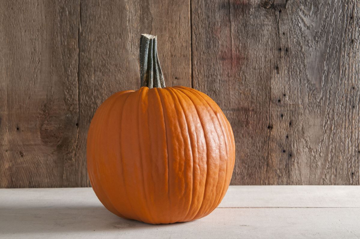 Champion – Treated Pumpkin Seed