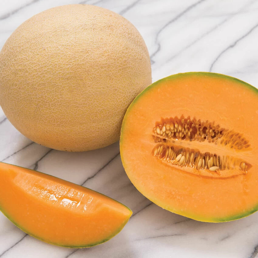 Musk Melon Hybrid Mithas Seeds