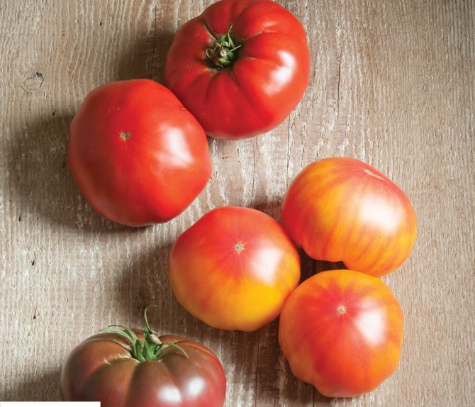Grafted French Heritage Tomato Seeds