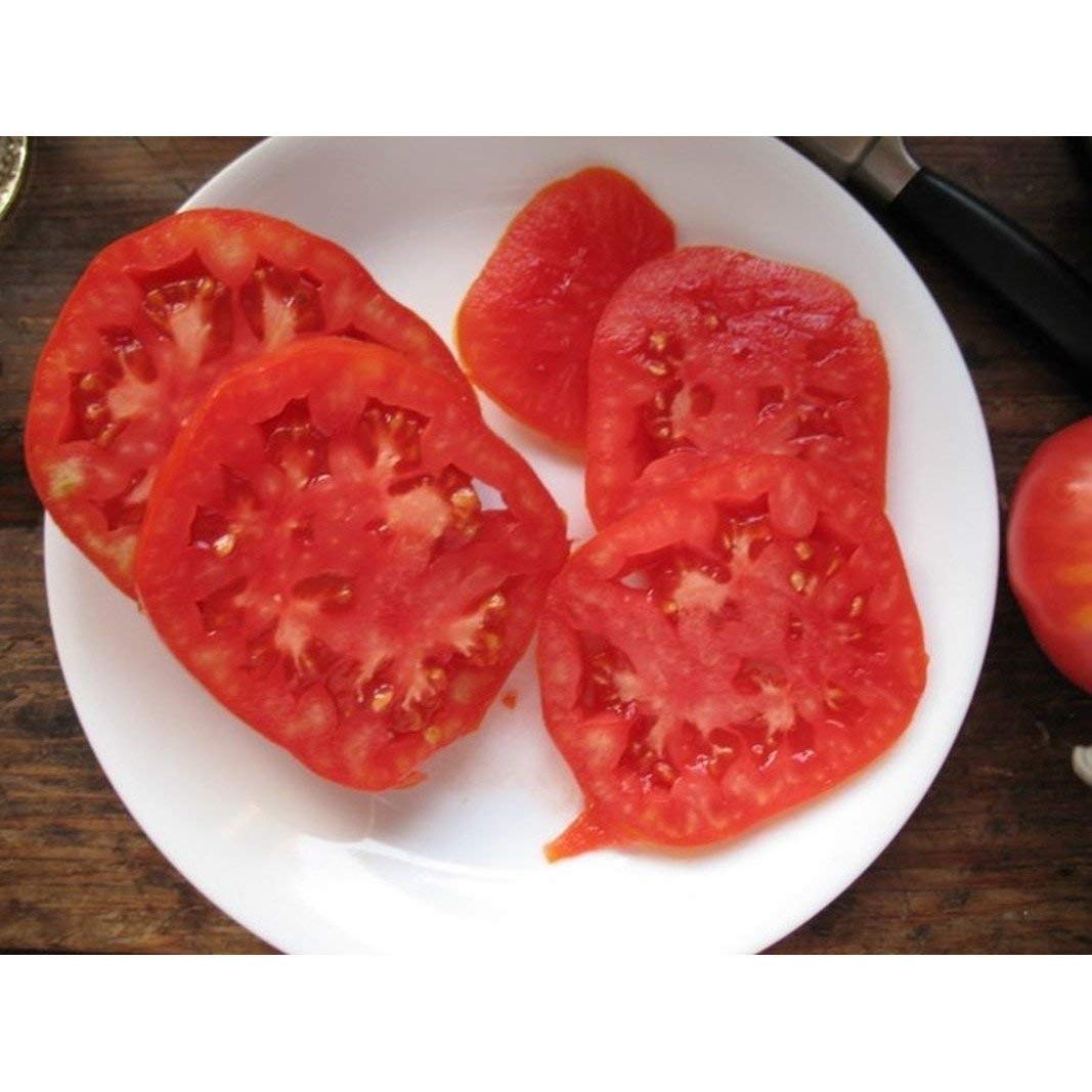 Boxcar - Willie for planting in home garden